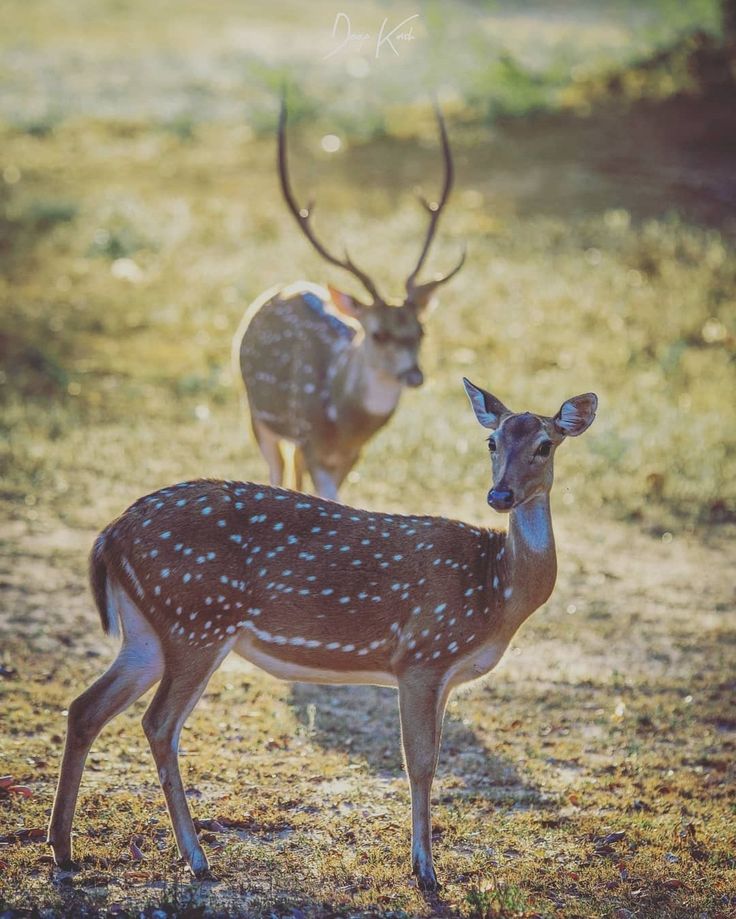 WhatsApp Image 2026-02-09 at 1.04.13 PM